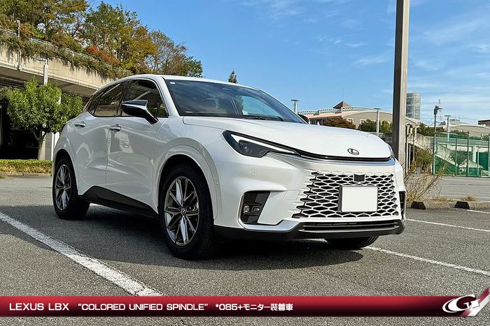 レクサスLBX専用 カラードスピンドルグリル