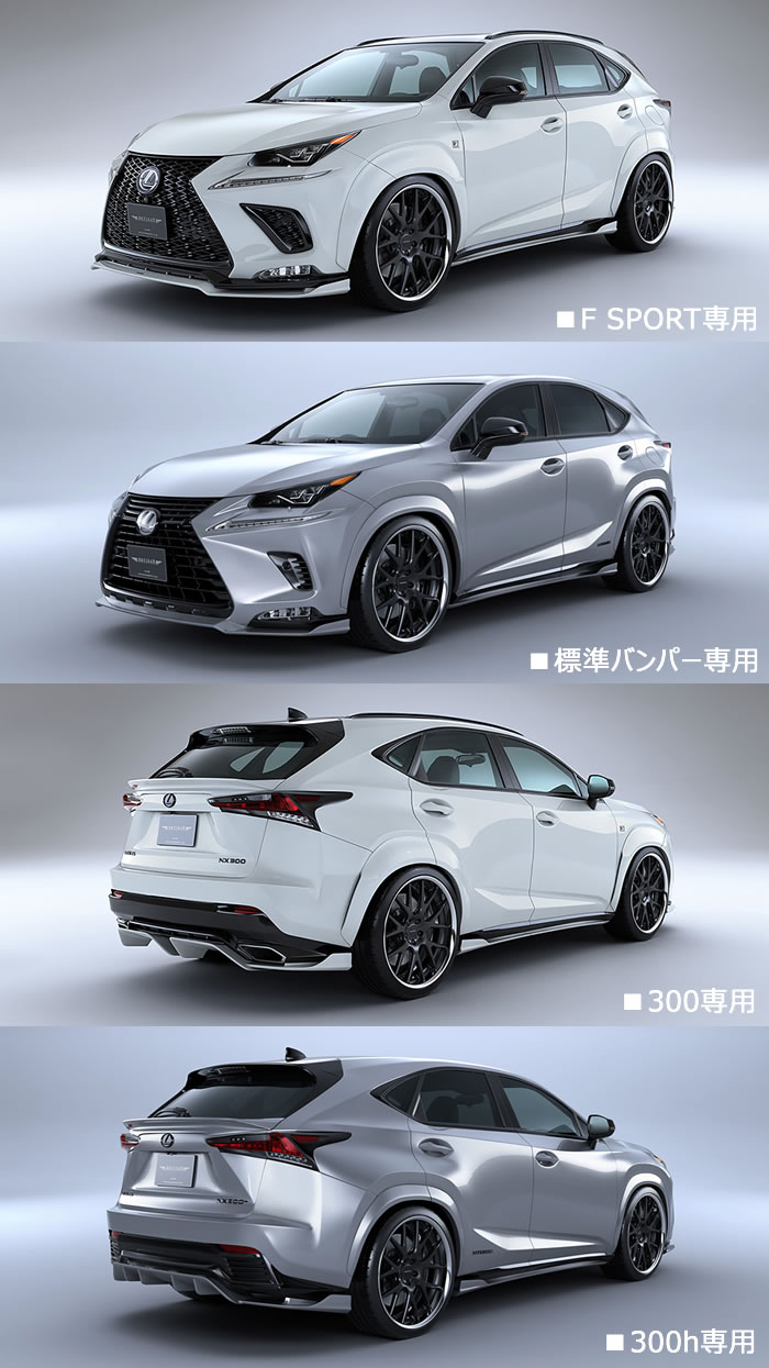 レクサス NX (後期)専用 エアロキット フルセット(アーティシャン)
