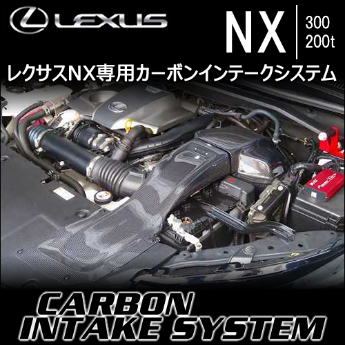 レクサス NX専用 カーボンインテークシステム(ブリッツ)
