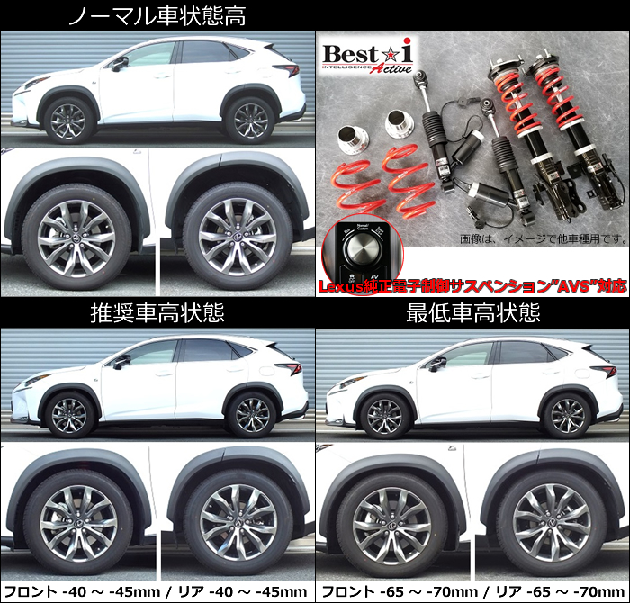 RSR 車高調 Best H29 レクサス FF 9～ AGZ10 Fスポーツ NX300 i