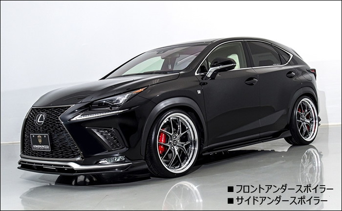 レクサス NX F-SPORT(後期)専用 エアロキットフルセット(エイムゲイン)