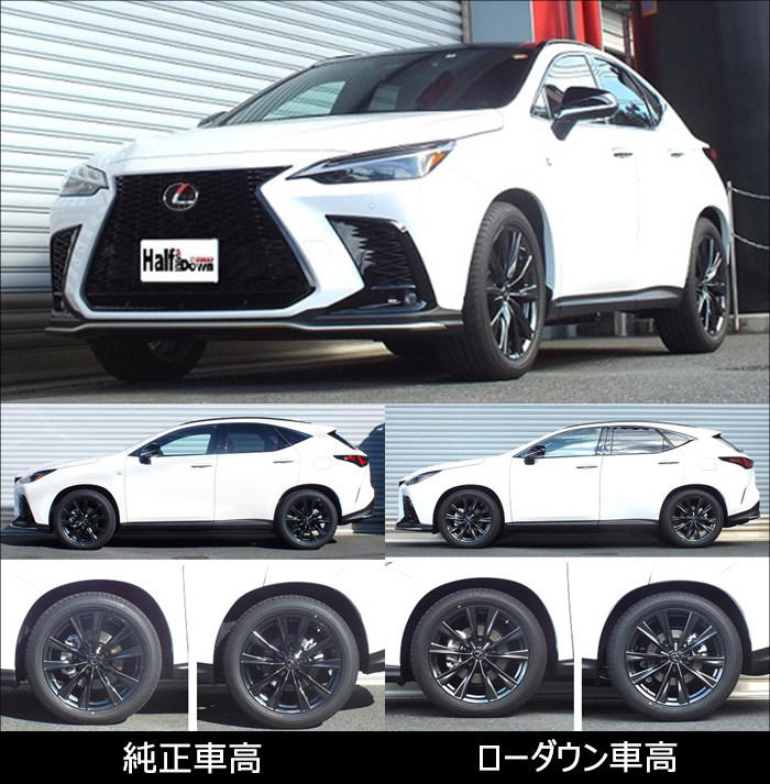 レクサスRX RS-R ダウンサス Ti2000 - 通販 - okijinja.sakura.ne.jp