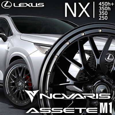 レクサスNX 20系用 ホイール＆タイヤセット(ノヴァリス アセット M1・20インチ)