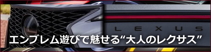 レクサスNX 20系専用 カラーエンブレムセット