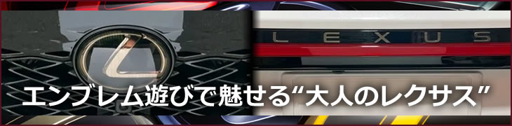 レクサスRX (LA/LH系)専用 カラーエンブレムセット