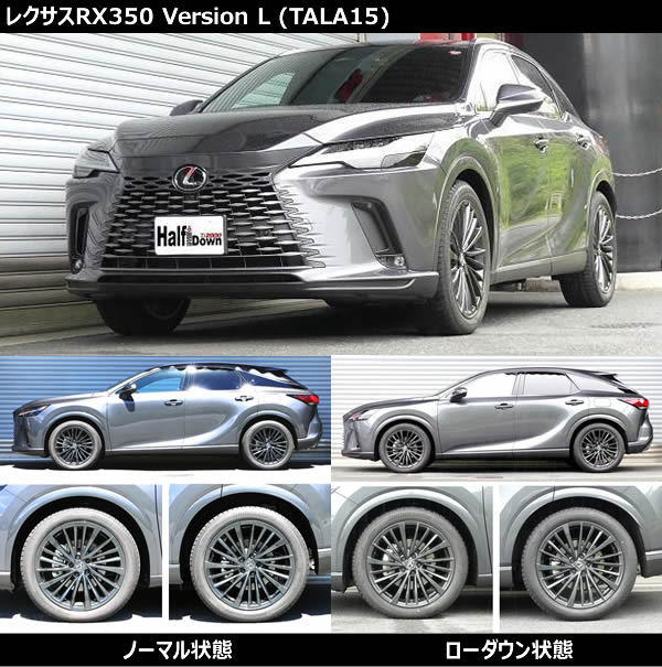 新型 レクサスRX350(LA/LH系)専用 ダウンサスキット(RS-R Ti2000 HALF DOWN)