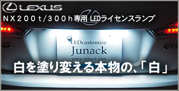 レクサス NX専用 LEDライセンスランプ